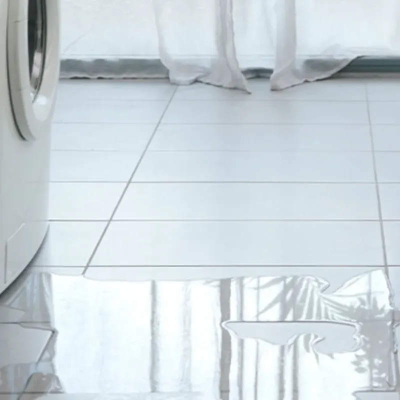 Appliance Leak Cleanup in Puhi, HI